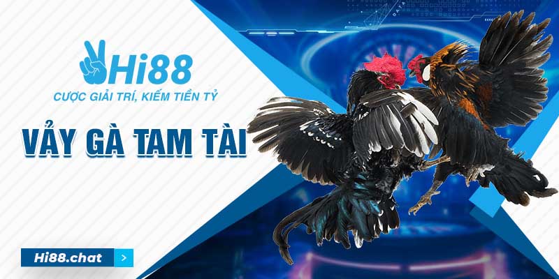 Vảy Gà Tam Tài - Nhận Biết Chiến Kê Giỏi Qua Các Loại Vảy 2 vảy gà tam tài